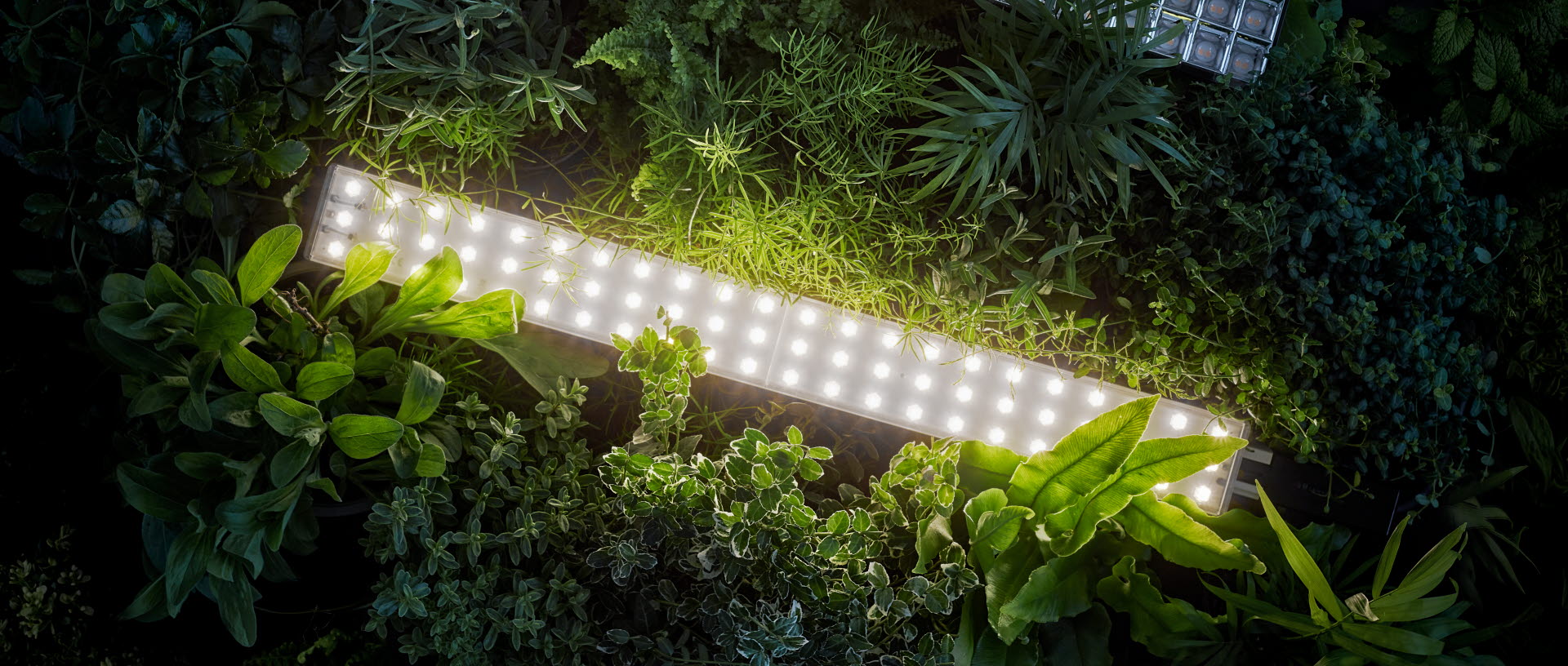 ITAB Linear Light - Avior XS in greenery